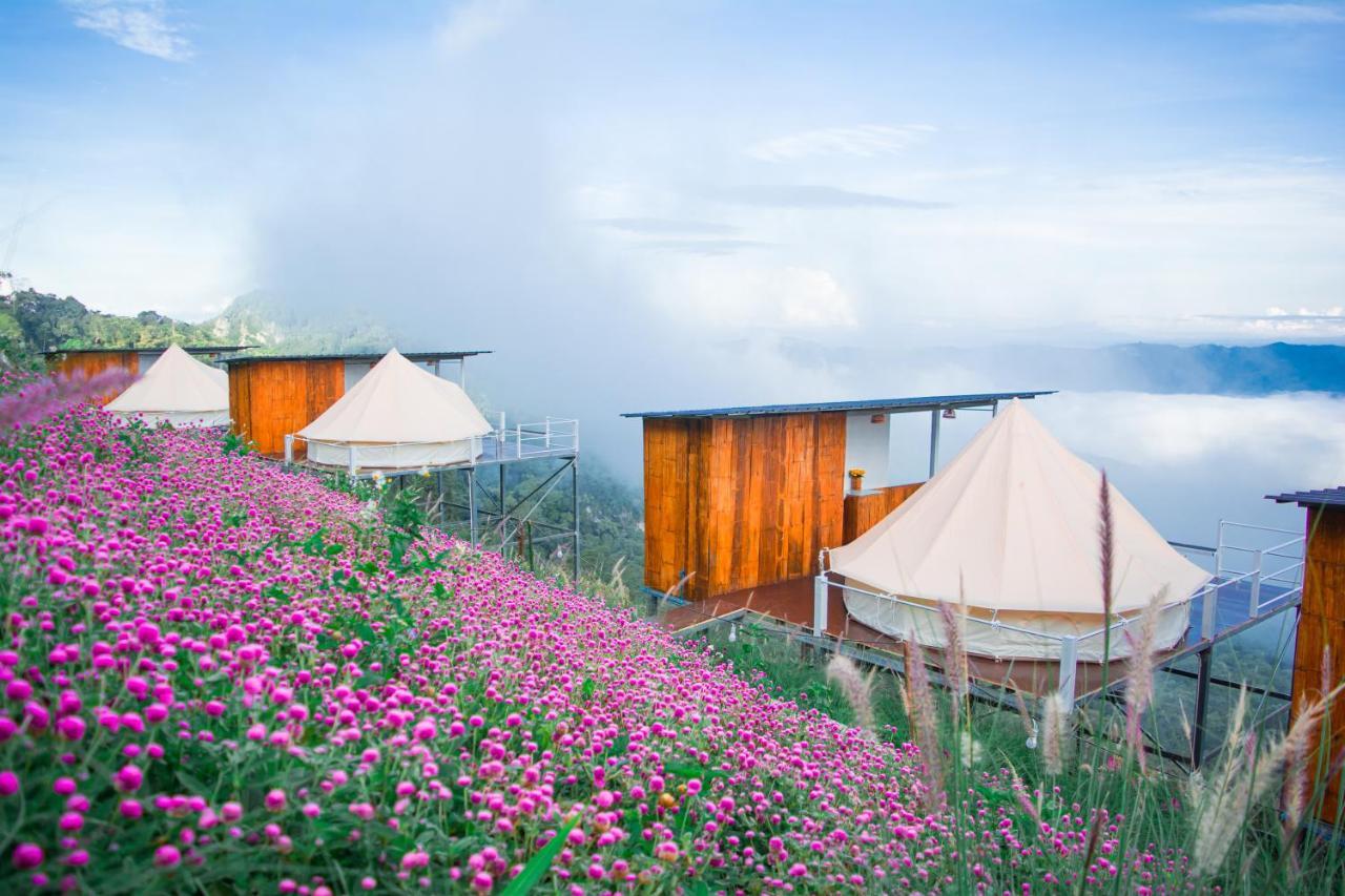 Hotel ชิวชิวแคมป์ ภูชี้ฟ้า Ban Huai Han Exterior foto
